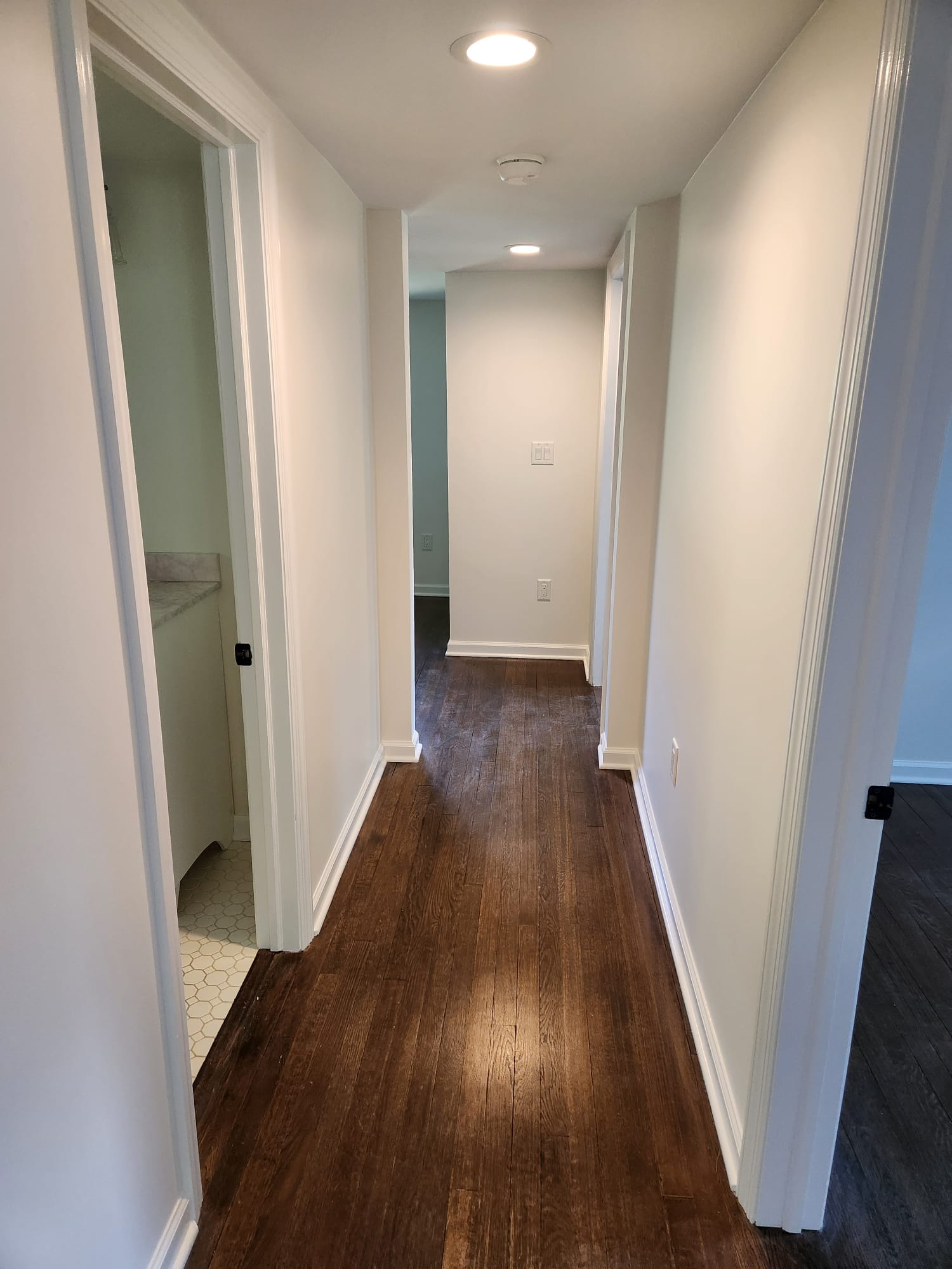 Interior painting project